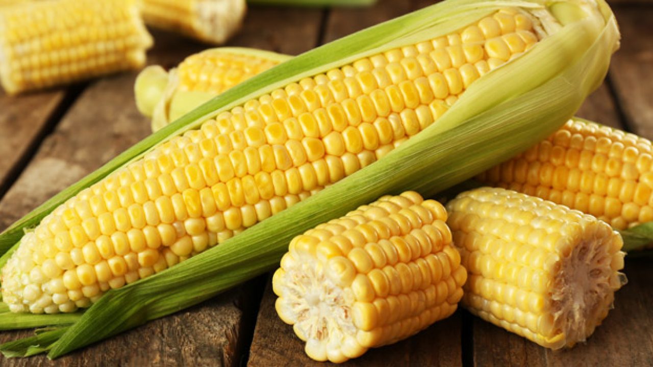 Cara Merebus Jagung Supaya Empuk