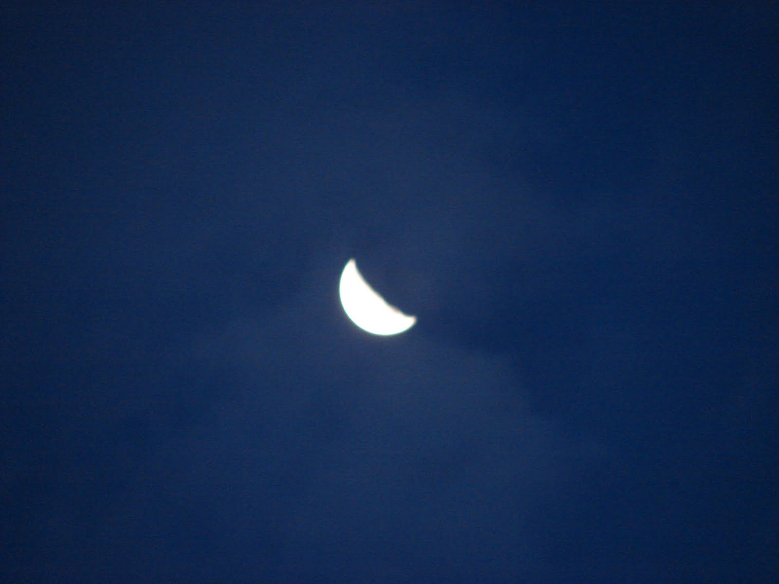 La Luna y Formas 2010 x Fito: 11-febrero-12-13-15-15...2011 Luna en 1/4 ...