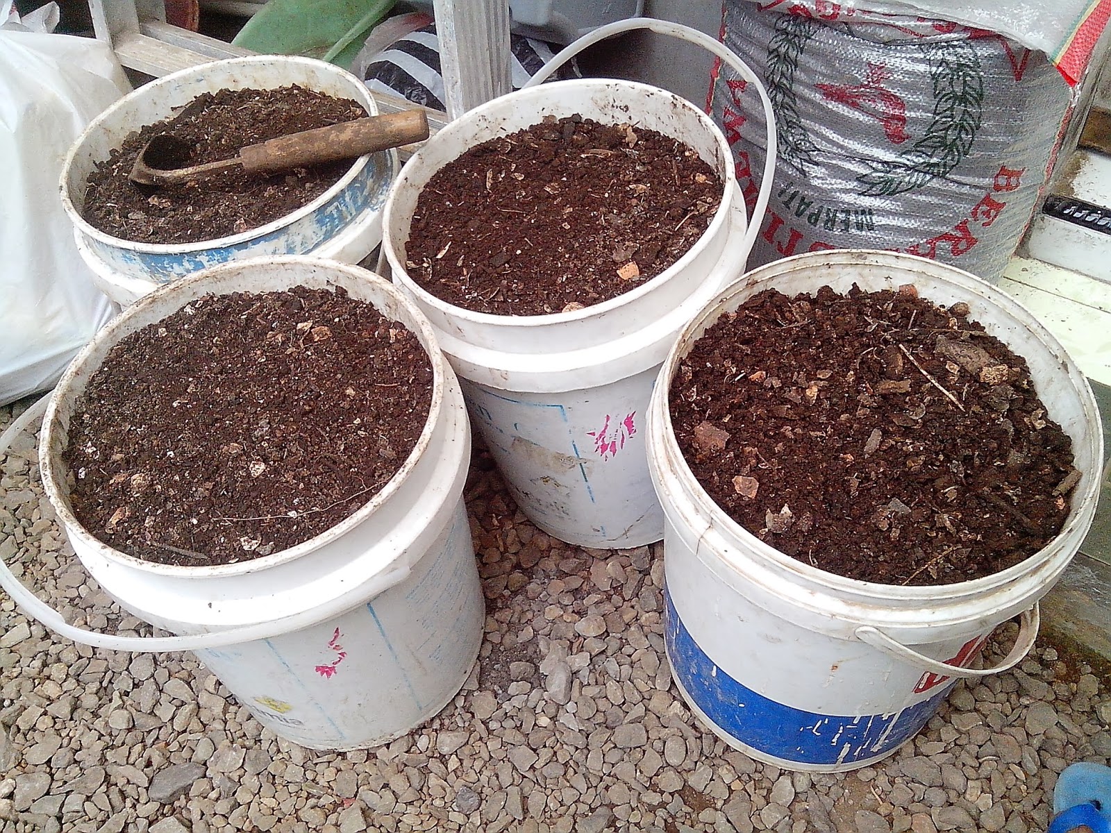 Endah Murniyati's Journey HARVESTING COMPOST