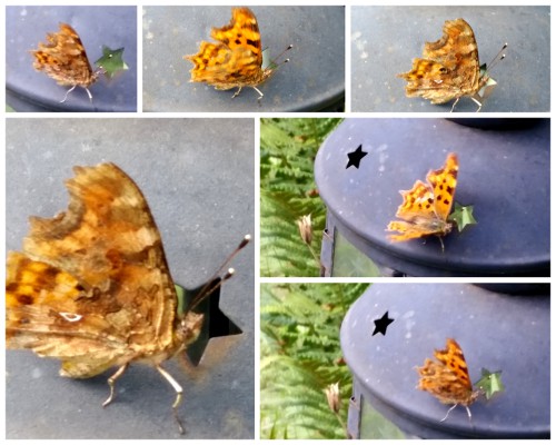 Nunu S Garn Und Stofflabor Juli 2017