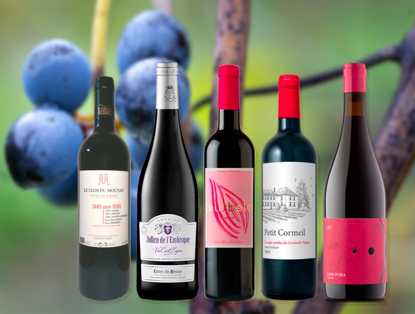 BIOWEIN DEUTSCHLAND: Bioweine ohne Sulfite