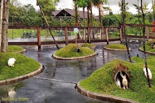 Wisata Edukasi Milkindo Green Farm