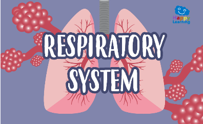 https://happylearning.tv/en/word-search-respiratoy-system/