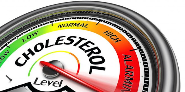 10 Macam Obat Herbal Kolesterol Paling Ampuh 10 Macam Obat Herbal Kolesterol Paling Ampuh