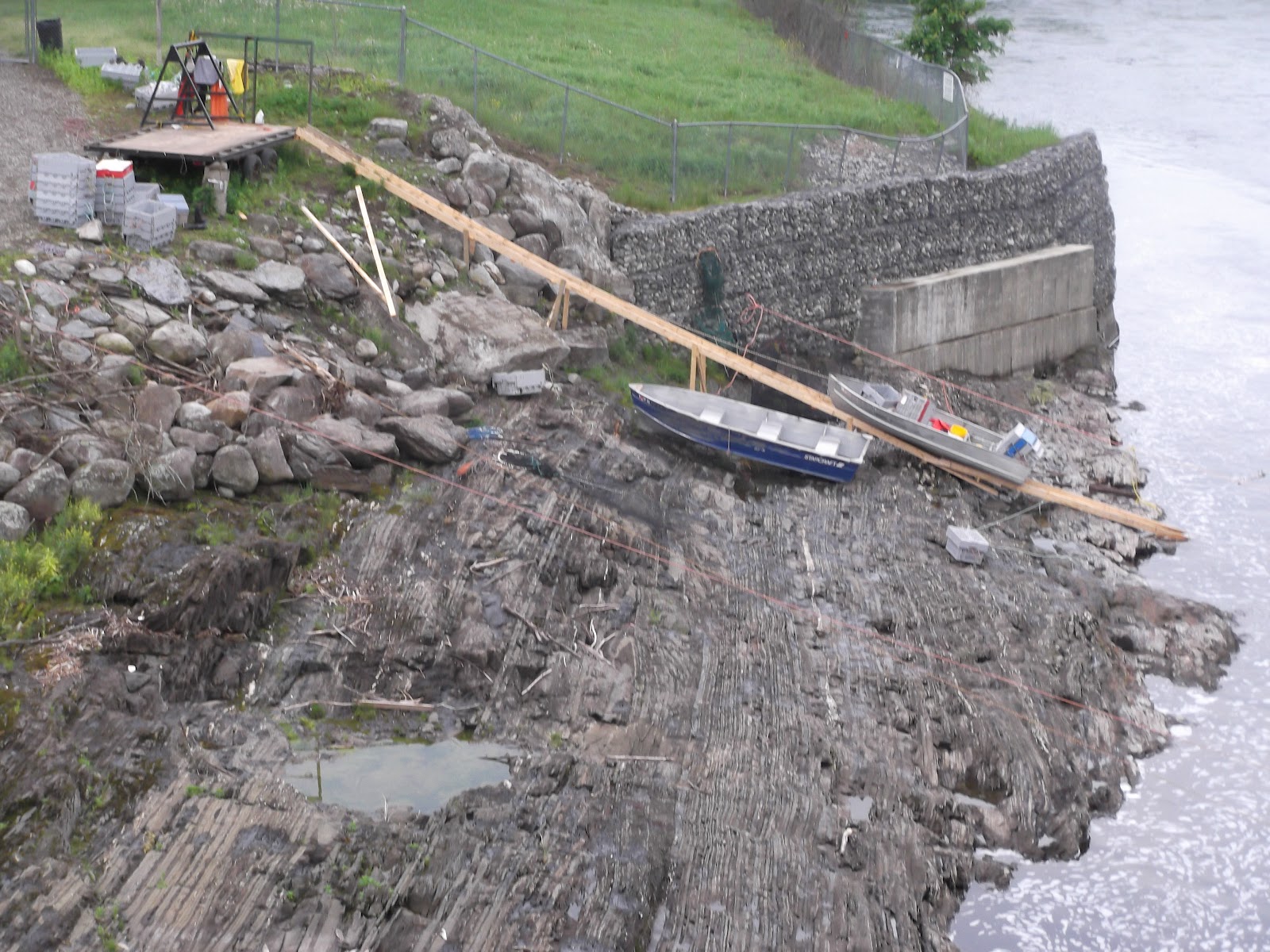 2012 Fish Big Year River Herring in Maine