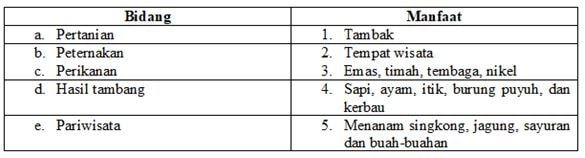 Kunci Jawaban Tema 6 Kelas 4 Halaman 141