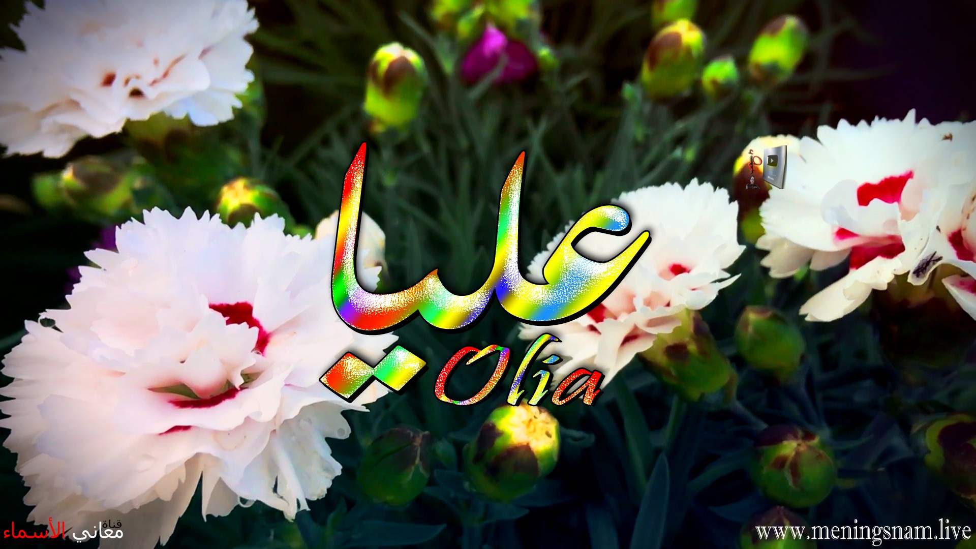 معنى اسم عليا وصفات حاملة هذا الاسم olia فيديوهات معاني الاسماء