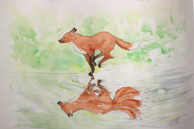 aquarelle représentant un renard courant et son reflet