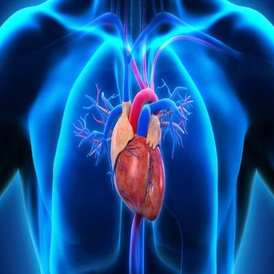 Awas ! Serangan Penyakit Jantung Rentan pada Usia Muda