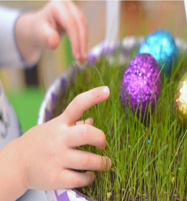 Here is a fun project that the kids will love!  Grow your own Easter basket grass. #easterbasketideas #eastercrafts #growgrassforeasterbasket #easteractivitiesforkids #easterbasketdiy #growingajeweledrose