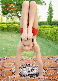 About Yoga 1 - యోగా 1 - Yoga in Telugu Pdf , What is YOGA ? 3 yoga%2B%2B(5)