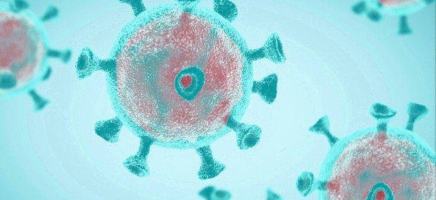Covid19: Immunity could increase virus spread
