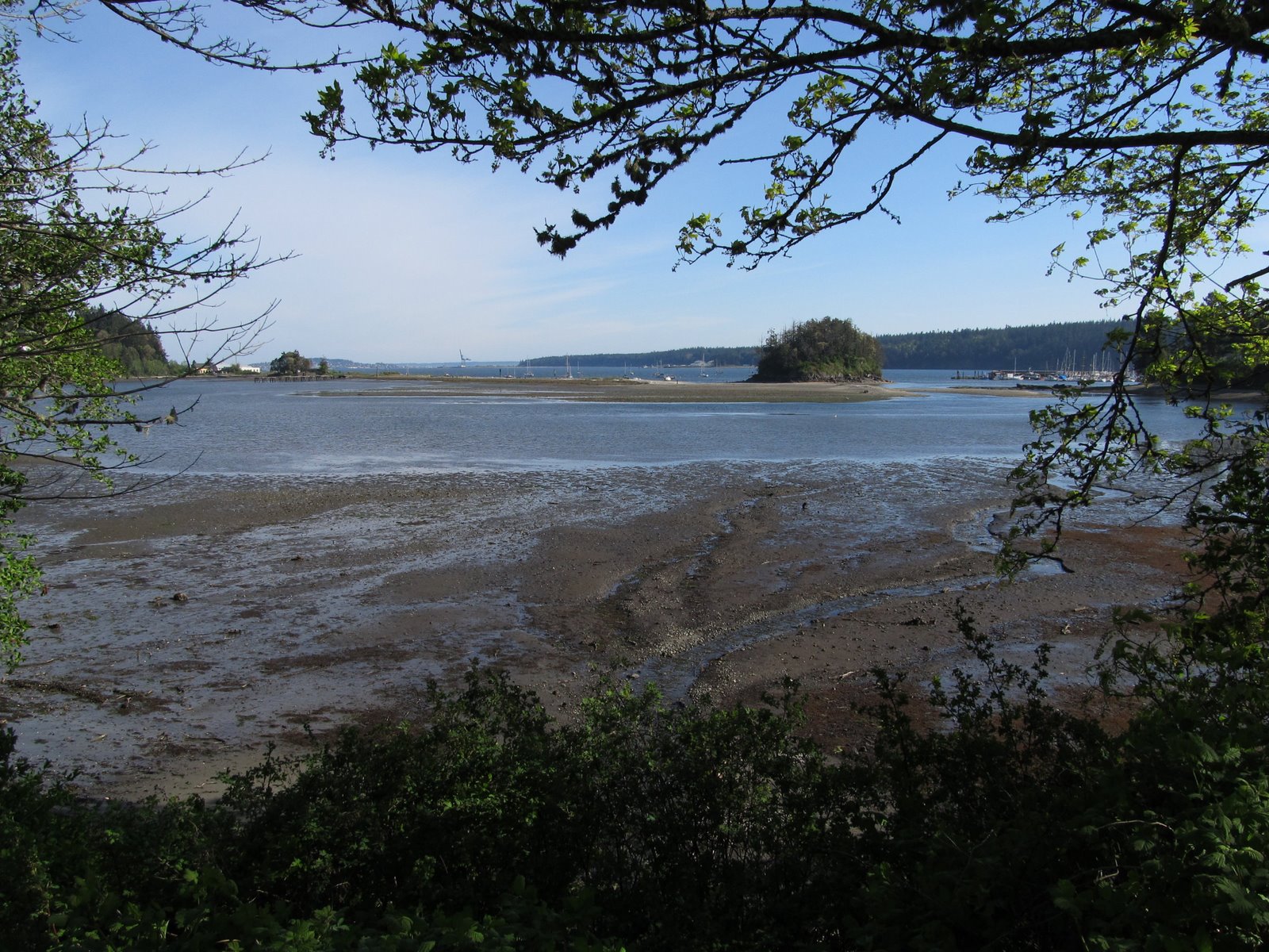 Gravel Beach Port Hadlock