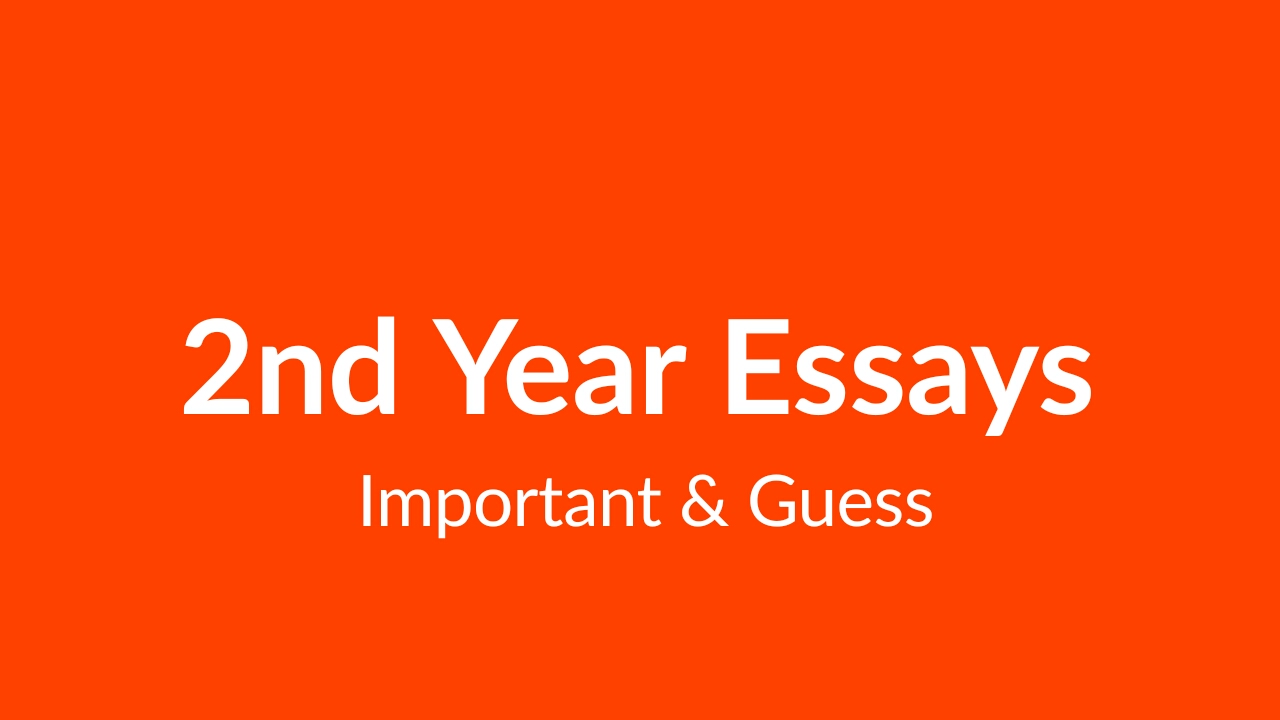 essays for 2nd year english