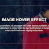 Image Hover CSS Effects
