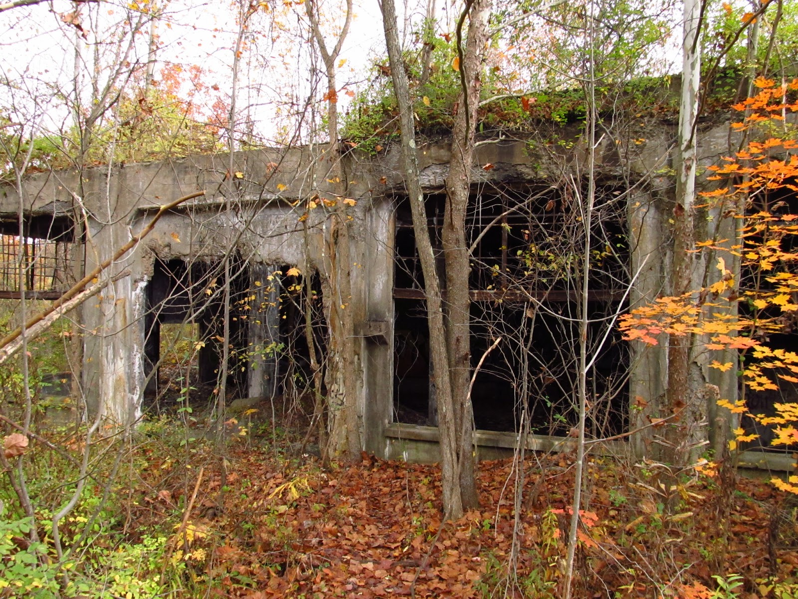 Old Industry of Southwestern Pennsylvania Banning 1 Mine ruins