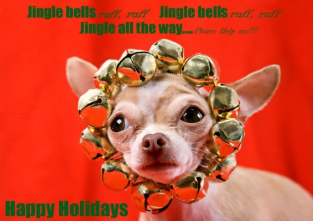 christmas quotes dogs