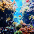 Erlebnis Aquarium Berlin