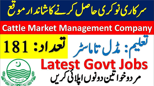 Cattle Market Management Company Jobs 2020 Apply Now