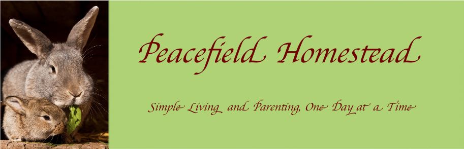 Peacefield Homestead