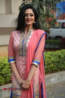 Actress Vimala Raman Stills in Beautiful Pink Salwar Kameez at (ONV) Om Namo Venkatesaya Press Meet  0080