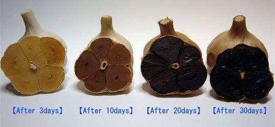 How To Make Black Garlic