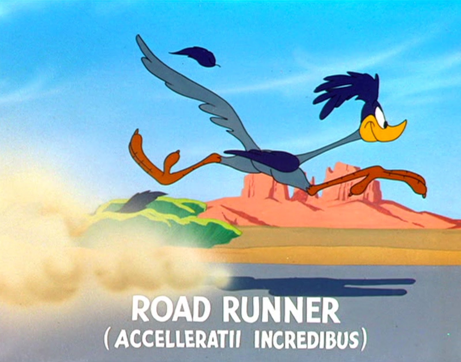 The Infinite Revolution Acme.