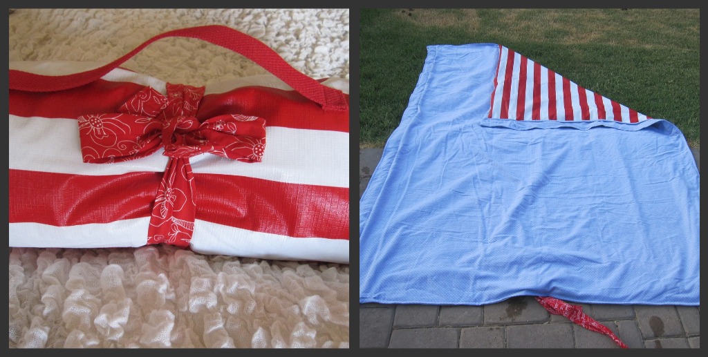 Sara vs. Sarah Reversible Beach Blanket Challenge No. 23 Submission