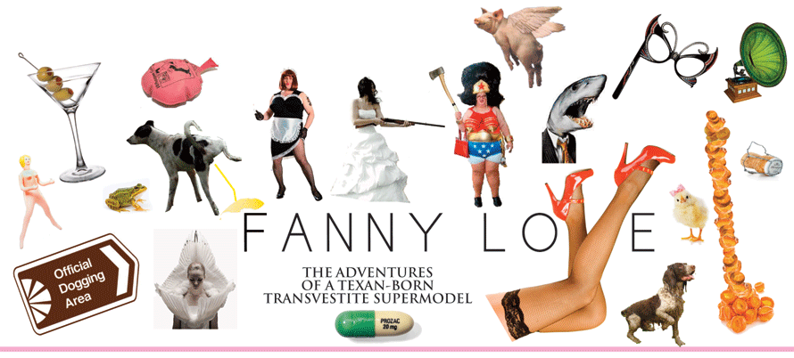 Fanny Love: Transvestite, Super-Model, Poet