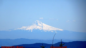 Mt Hood View from Kings Mountain