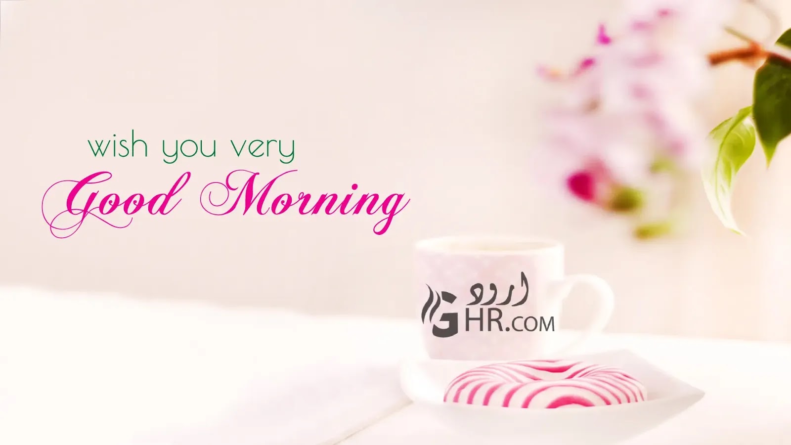300 Best Good Morning Images HD , Quotes , Wishes , Wallpaper and Gifs |  Good Moning Images With Quotes