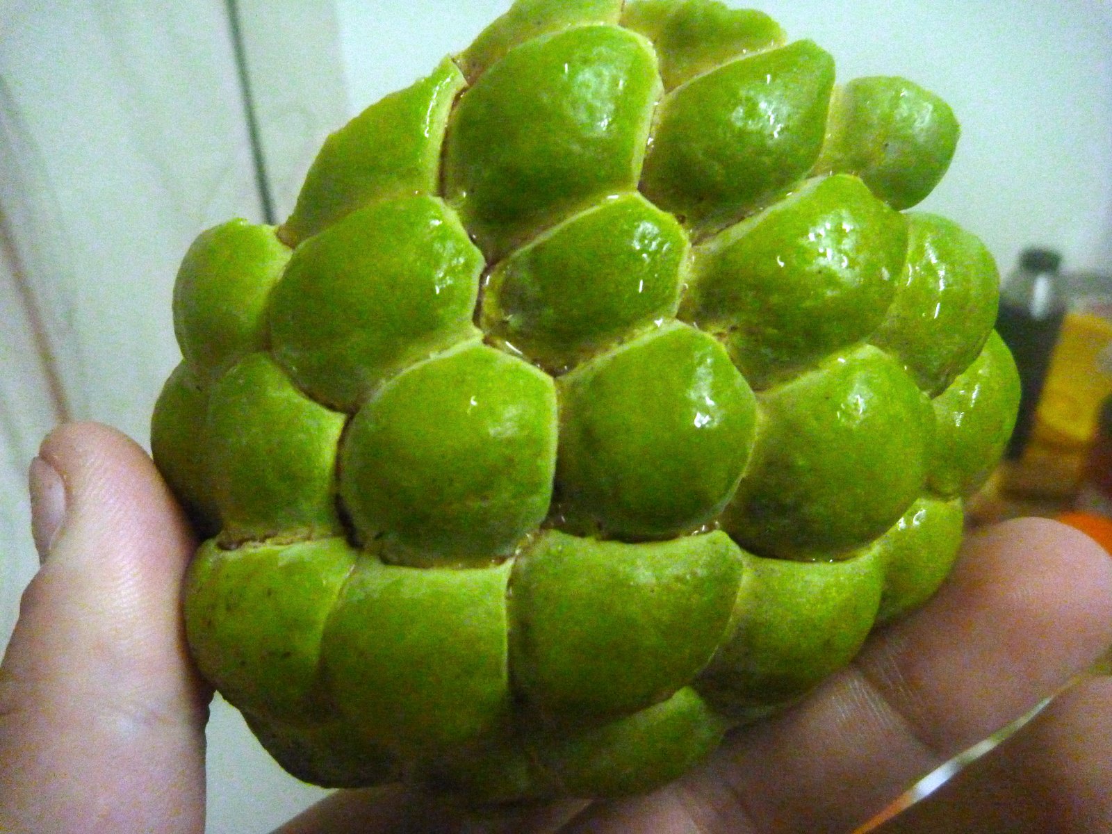 What I'm Eating - Sugar-apple | The Official Tim Stahl Blog
