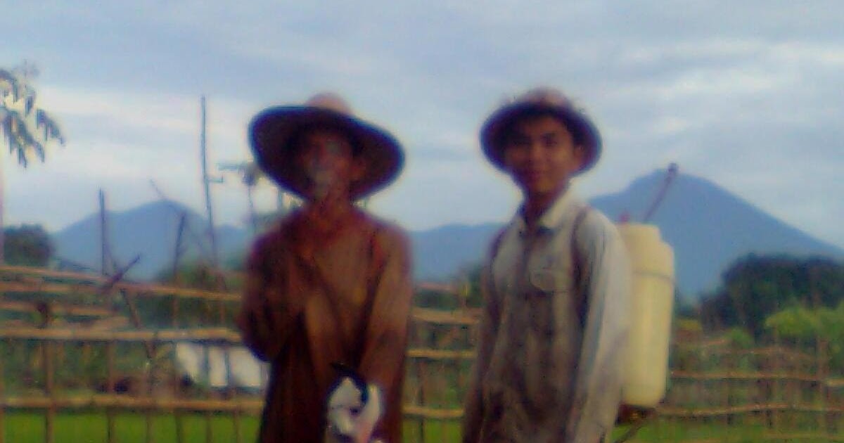 Bahasa Sasak Percakapan Bahasa Lombok