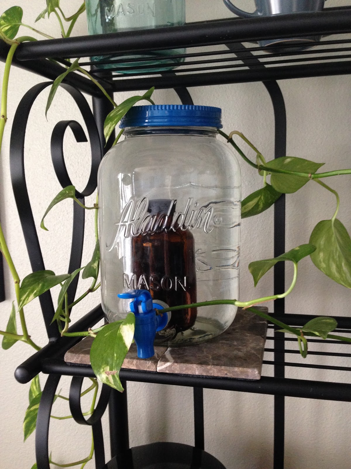 somewhere in the mountains The Benefits of Drinking water