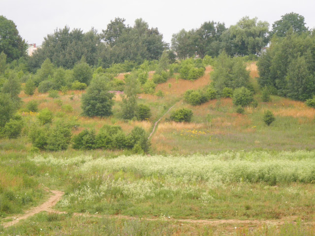 Porębskiego wciąż bez połączenia z Ujeściskiem - Czytaj więcej »