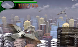 fly bird apk premium