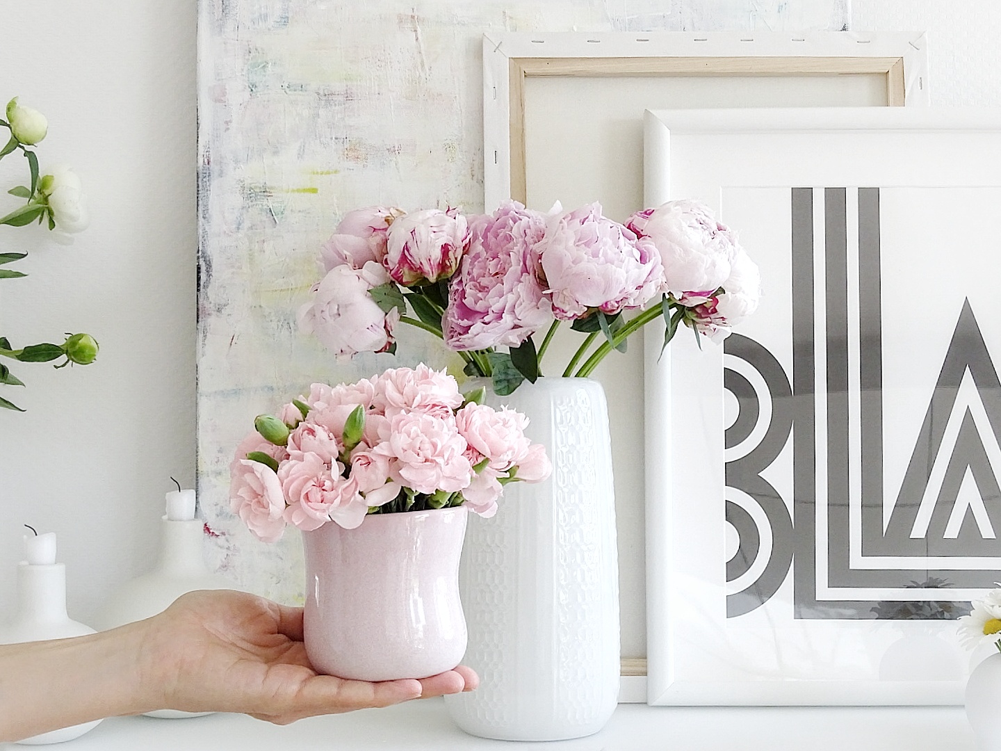 Kostenlose Rosenfotos Kostenlose Rosenfotos Bilder Mit Weissen