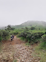 Pandakian Gunung Ungaran Via Promasan