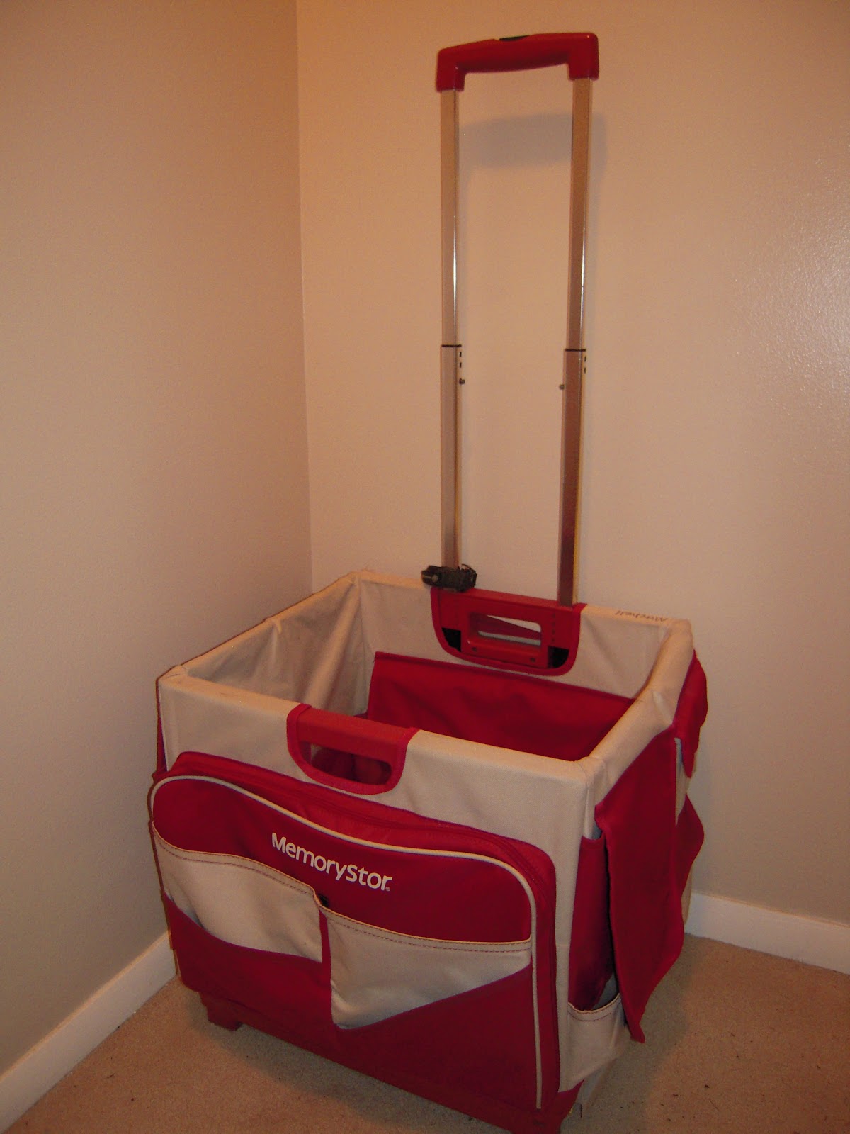 I hablo espanglish My Adventures on a Cart (Part 1)