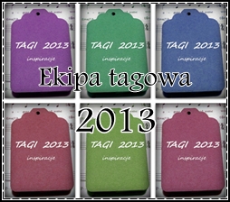 Tagi2013