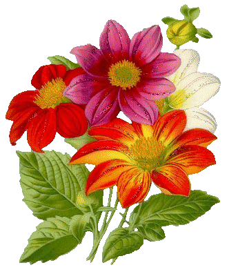 Featured image of post Gif Parabens Com Flores