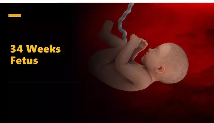 34 weeks fetus growth In Hindi