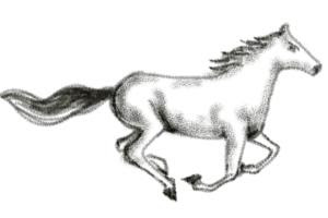 horse-drawing,  running-horse-drawing