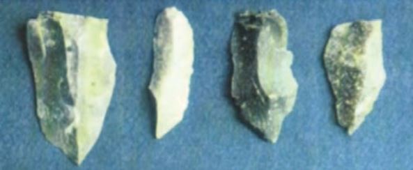 Study Blogs Hasil Kebudayaan Masyarakat Praaksara Pada Masa Berburu Dan Mengumpulkan Makanan