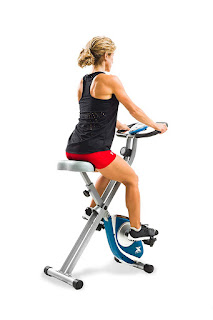 Xterra Fitness FB150 Folding Exercise Bike, image, review features & specifications