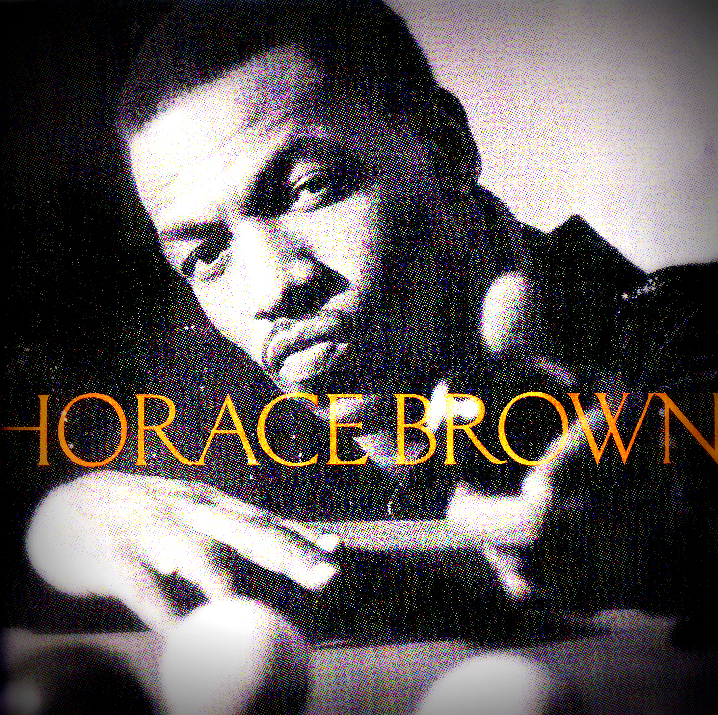 Black Music Corner Horace BrownHorace Brown (1996)