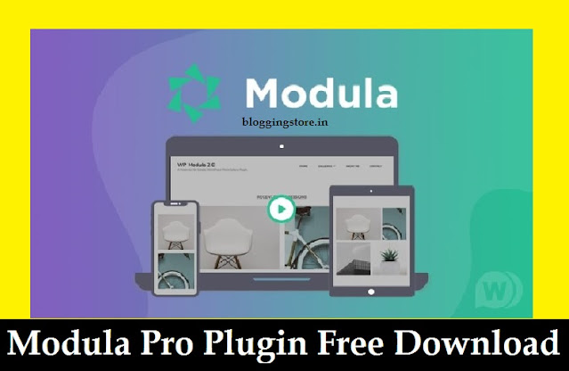 Modula Pro Plugin Free Download