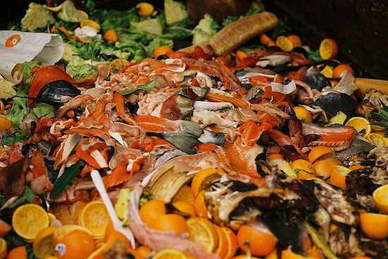 Image of food waste by Taz released via Creative Commons BY 2.0