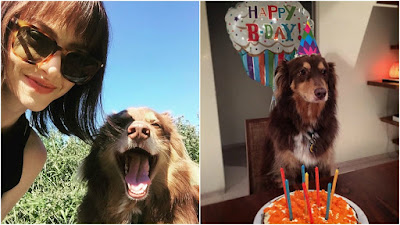 @InstaMag- Actress Amanda Seyfried has thrown a birthday party for her dog. amanda-seyfried-dog-birthday-party