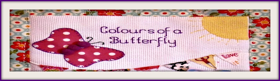 Colours of a butterfly